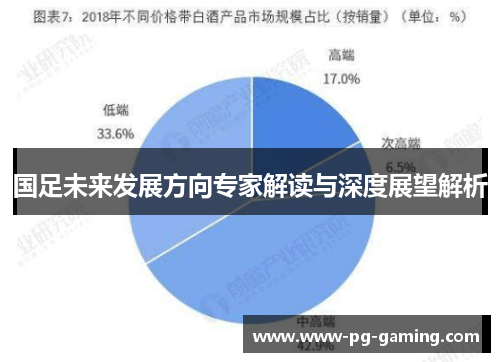 国足未来发展方向专家解读与深度展望解析