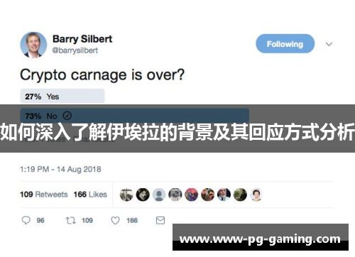 如何深入了解伊埃拉的背景及其回应方式分析