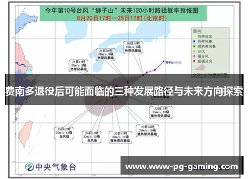 费南多退役后可能面临的三种发展路径与未来方向探索