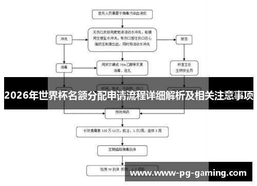 2026年世界杯名额分配申请流程详细解析及相关注意事项