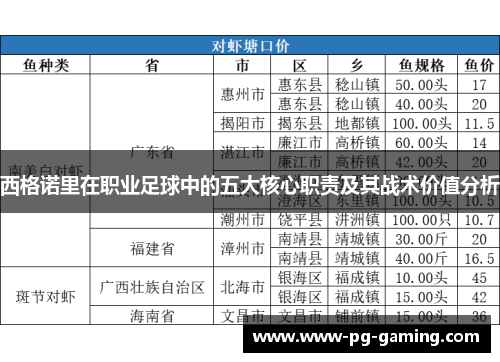 西格诺里在职业足球中的五大核心职责及其战术价值分析